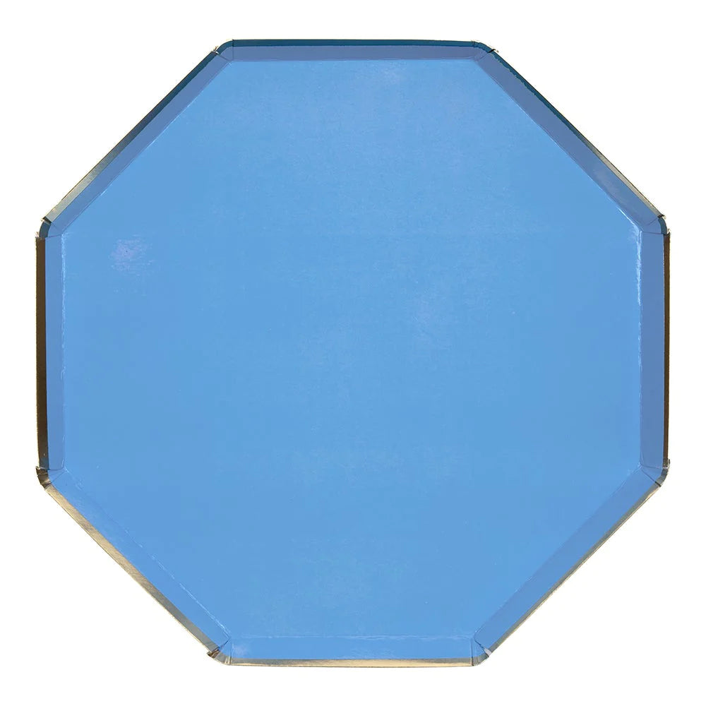 BLUE LARGE PLATES