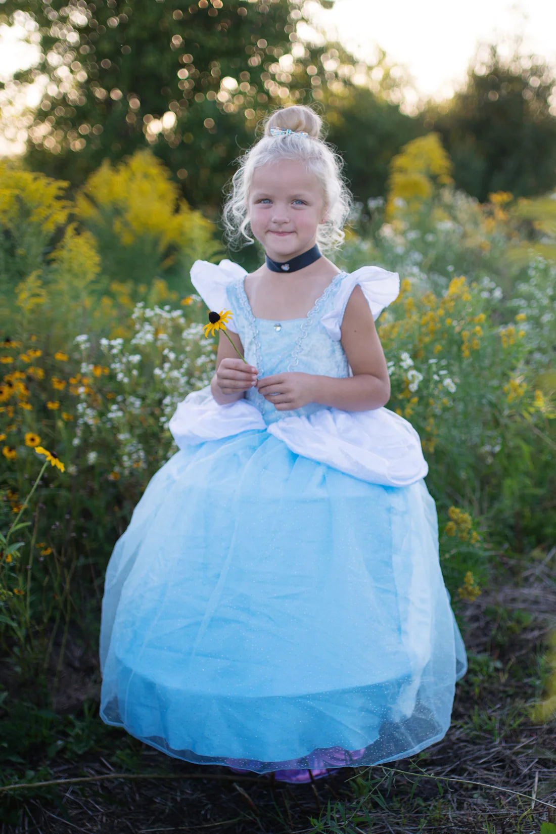 DELUXE CINDERELLA DRESS