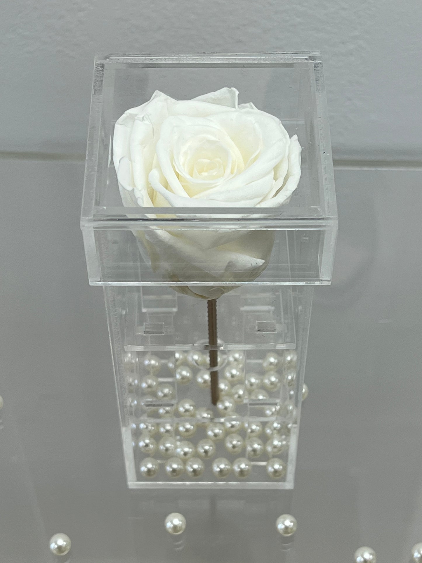SINGLE PRESERVED ROSE BOX - TALL