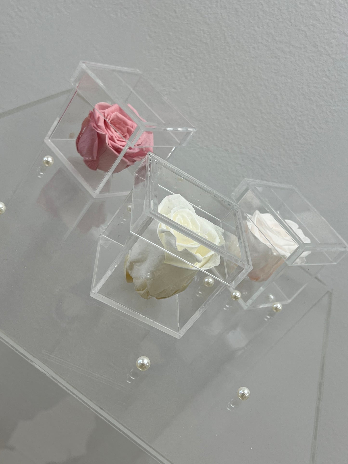 SINGLE PRESERVED ROSE BOX