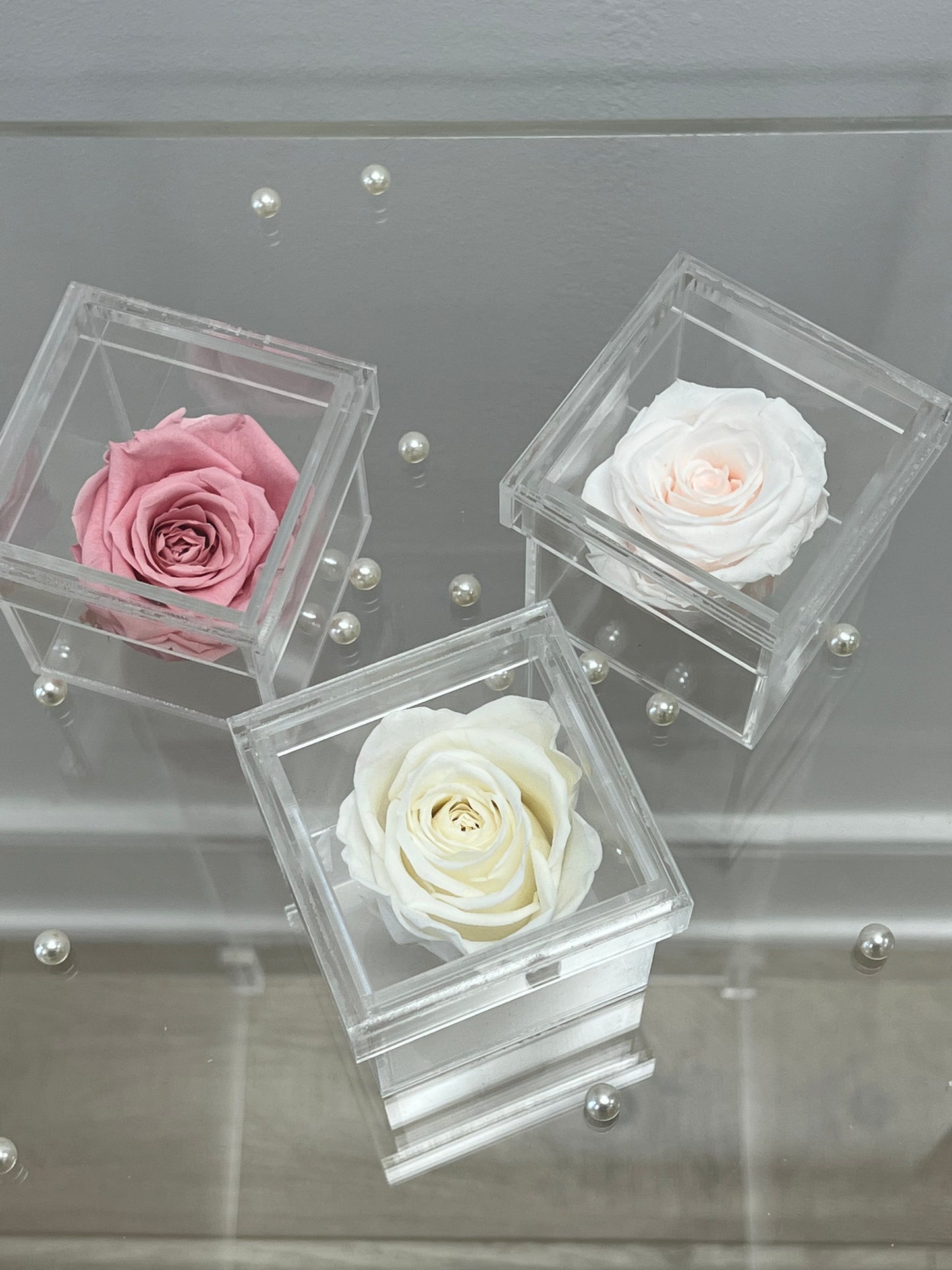 SINGLE PRESERVED ROSE BOX