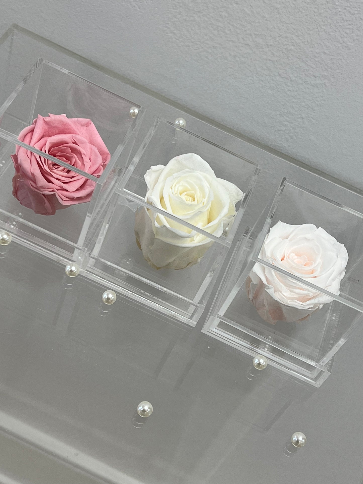 SINGLE PRESERVED ROSE BOX