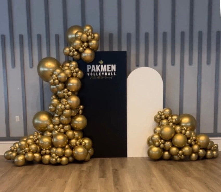 BACKDROP + BALLOON DISPLAY