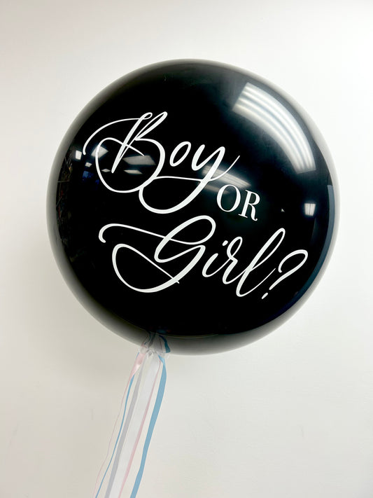 JUMBO GENDER REVEAL