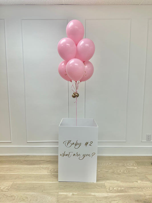 GENDER REVEAL BOX