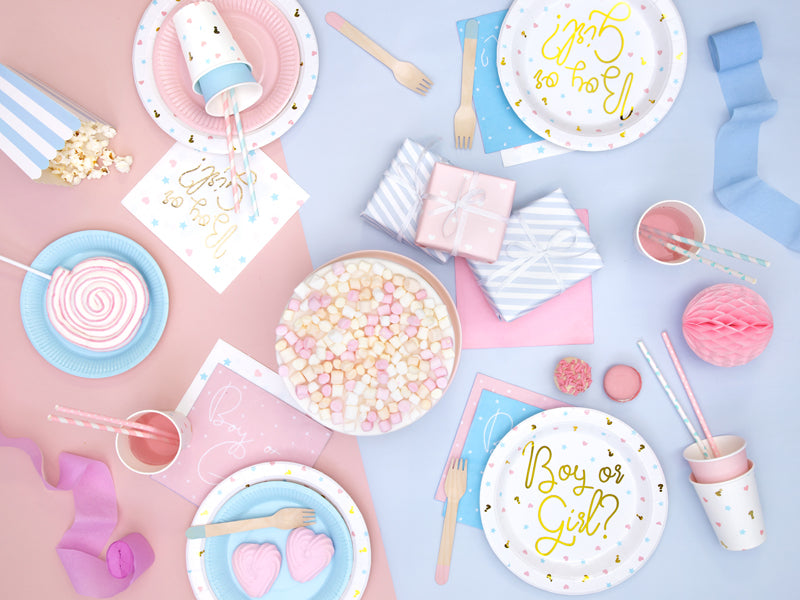 BOY OR GIRL - GENDER REVEAL PLATES