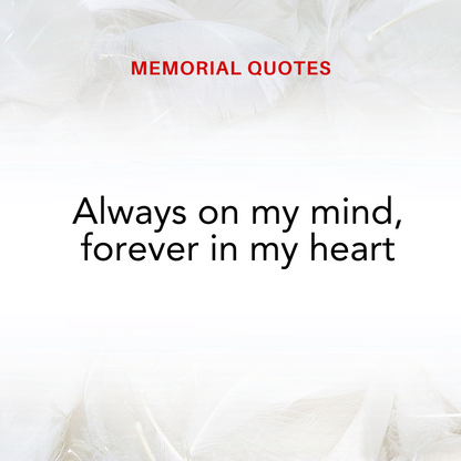 FLOATING MEMORIAL BALL