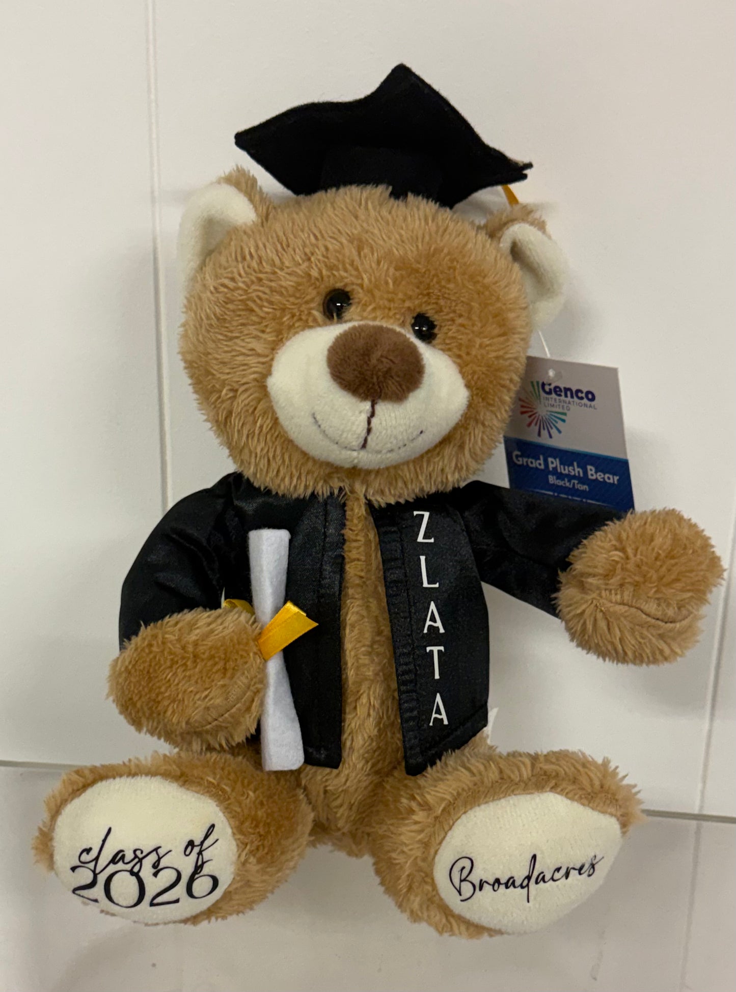 PERSONALIZED GRAD BEARS | PINK