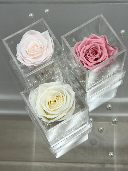 SINGLE PRESERVED ROSE - SHORT BOX