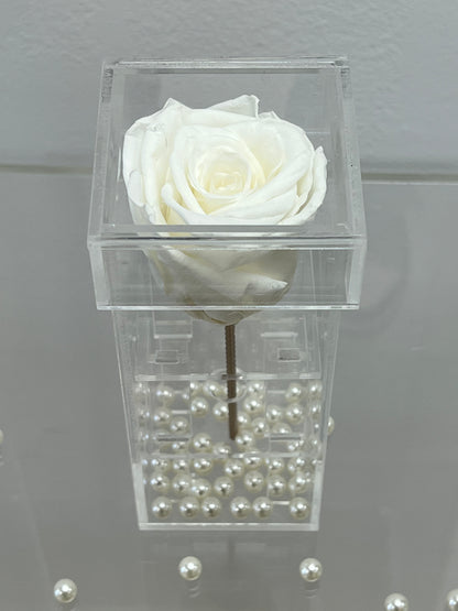 SINGLE PRESERVED ROSE BOX - TALL