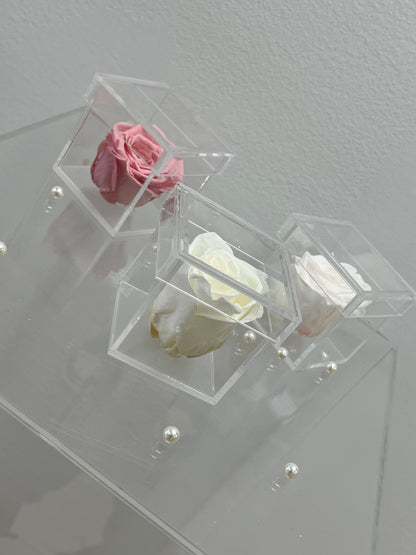 SINGLE PRESERVED ROSE BOX