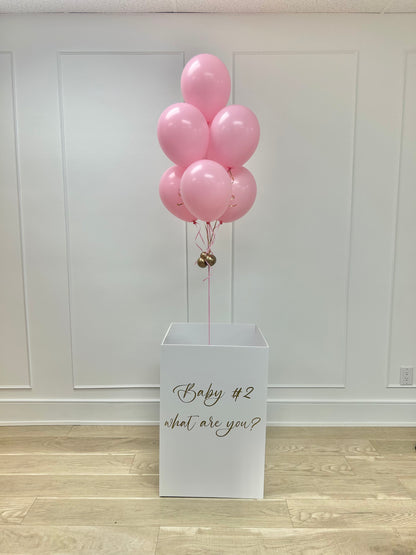GENDER REVEAL BOX