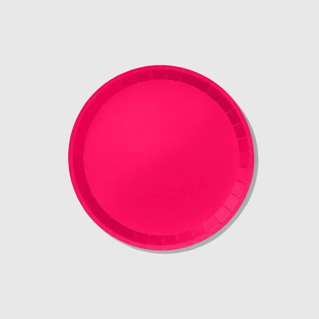 HOT PINK LARGE PARTY PLATES